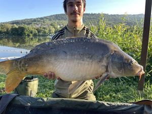 Mirror Carp