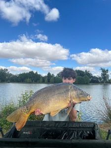 Mirror Carp