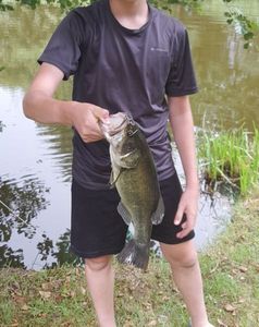 Smallmouth Bass