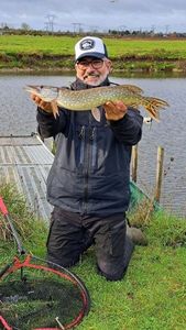 Northern Pike