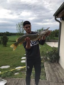 Northern Pike