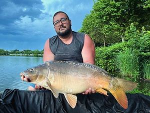 Mirror Carp