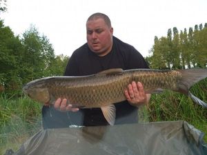 Grass Carp