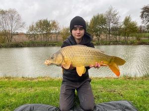 Common Carp