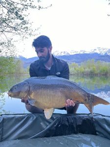 Leather Carp
