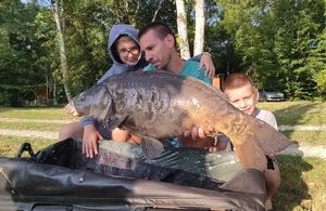 Mirror Carp