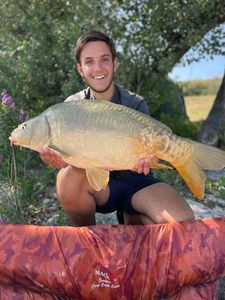 Mirror Carp