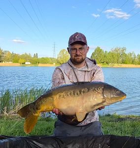 Mirror Carp