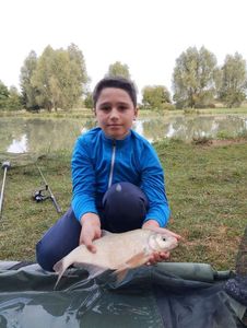 Blue Bream