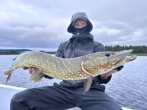 Northern Pike