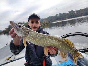 Northern Pike