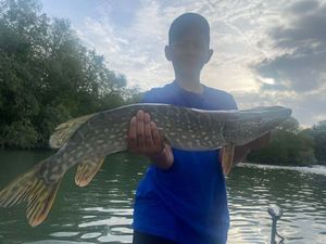 Northern Pike