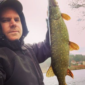 Northern Pike