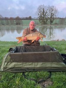 Mirror Carp