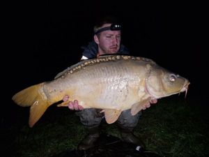 Mirror Carp