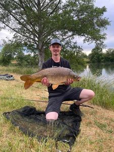 Common Carp