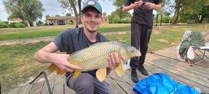 Common Carp