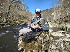 Brown Trout