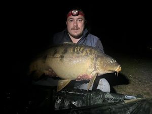 Mirror Carp