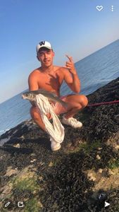 European Bass (Seabass)