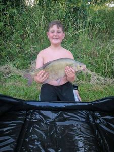 Common Bream