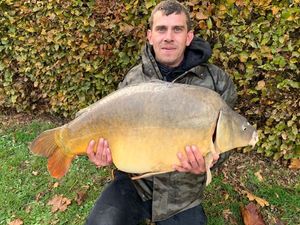 Mirror Carp
