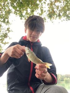 European Perch