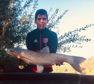 Silver Carp