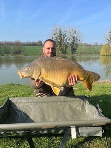 Mirror Carp