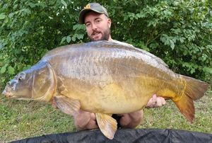 Mirror Carp