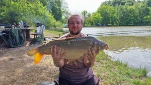 Mirror Carp
