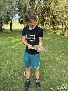 Largemouth Bass