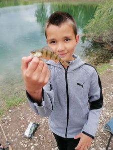 European Perch