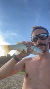 Smallmouth Bass