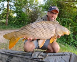 Common Carp