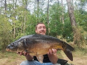 Mirror Carp