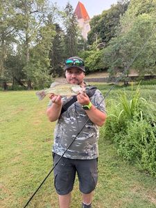 Largemouth Bass