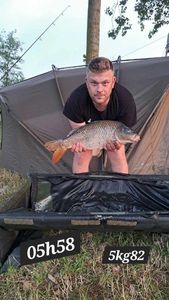 Common Carp