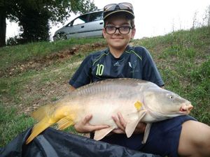 Mirror Carp