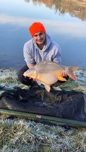 Mirror Carp