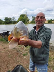 Common Carp