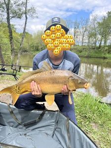 Mirror Carp