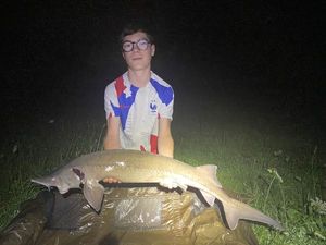 Sturgeon