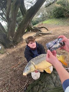 Mirror Carp