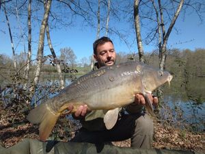 Mirror Carp