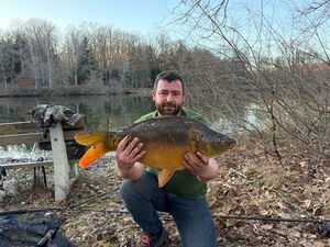 Mirror Carp