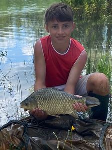 Crucian Carp