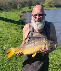 Mirror Carp