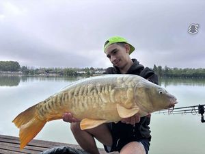 Mirror Carp