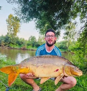 Mirror Carp